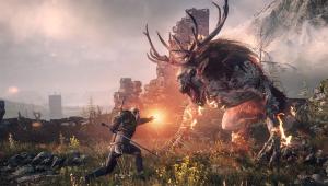 Скриншот 1 The Witcher 3: Wild Hunt