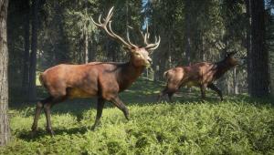 Скриншот 3 TheHunter Call of the Wild