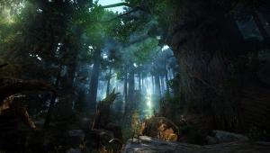 Скриншот 3 Black Desert