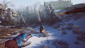 Скачать Winter Survival торрент