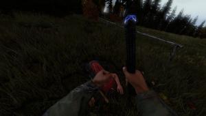 Скриншот 3 DayZ