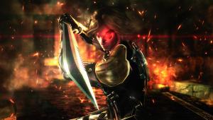 Скриншот 2 Metal Gear Rising Revengeance