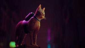 Скриншот 1 Stray