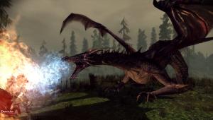 Скриншот 3 Dragon Age Origins