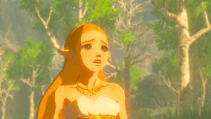 Скриншот 2 The Legend of Zelda Breath of the Wild