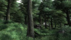 Скриншот 3 The Elder Scrolls IV: Oblivion
