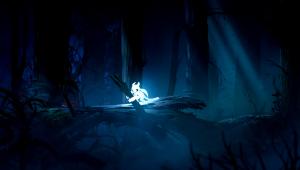 Скриншот 1 Ori and The Blind Forest Definitive Edition