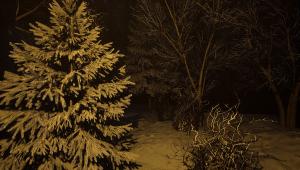 Скачать The Holiday Story торрент