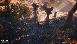 Скриншот 1 Wolcen Lords of Mayhem