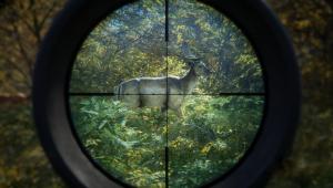 Скриншот 1 TheHunter Call of the Wild