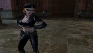 Скриншот 3 Return to Castle Wolfenstein